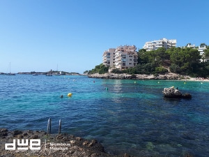 Dwe Goes Mallorca 3