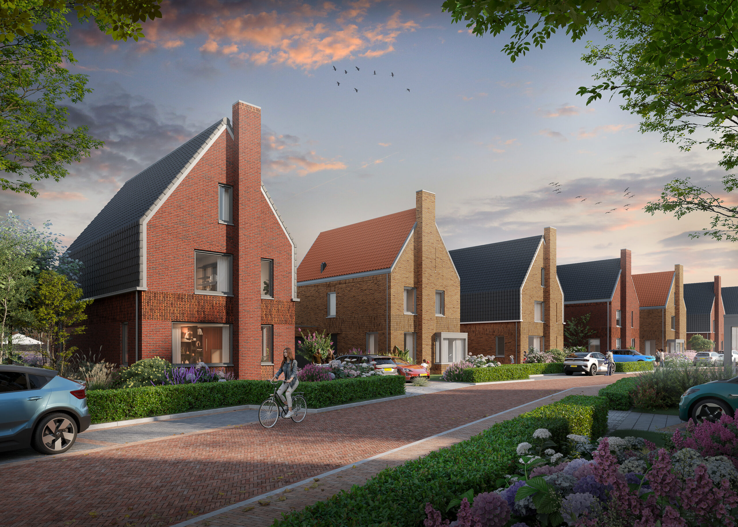 Meerlant Dijk En Waard Ext 5 6