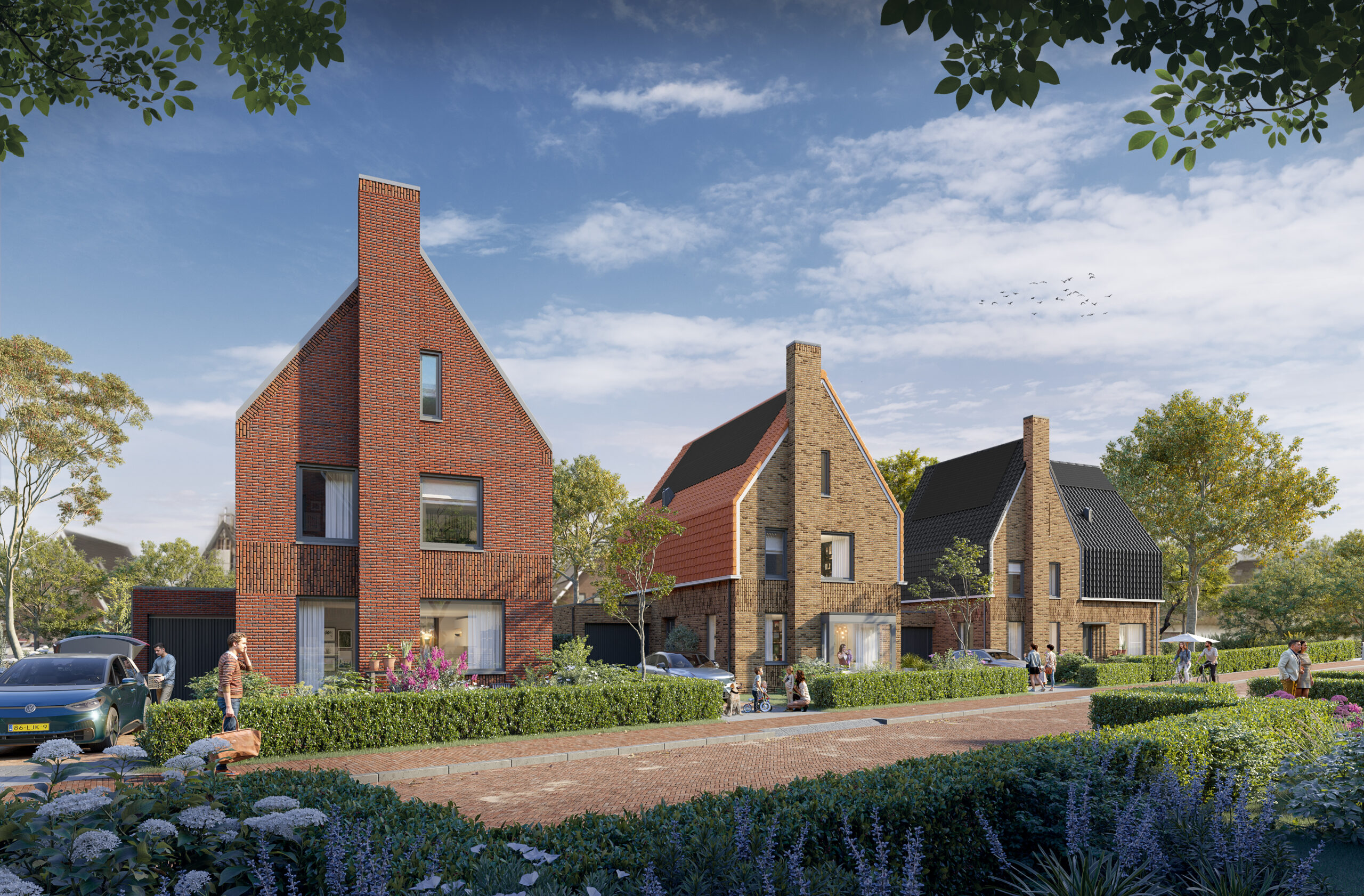 Meerlant Dijk En Waard Ext 6